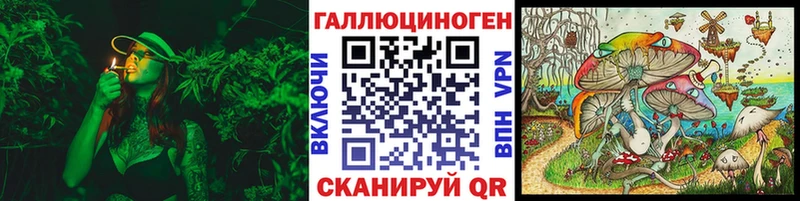 Псилоцибиновые грибы Magic Shrooms  Купить где  Сураж 